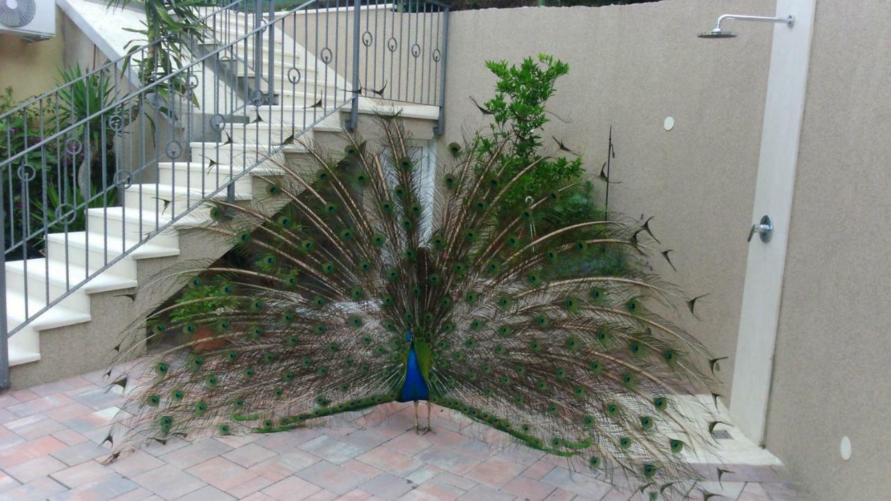Anka Strman Apartment Makarska Exterior photo