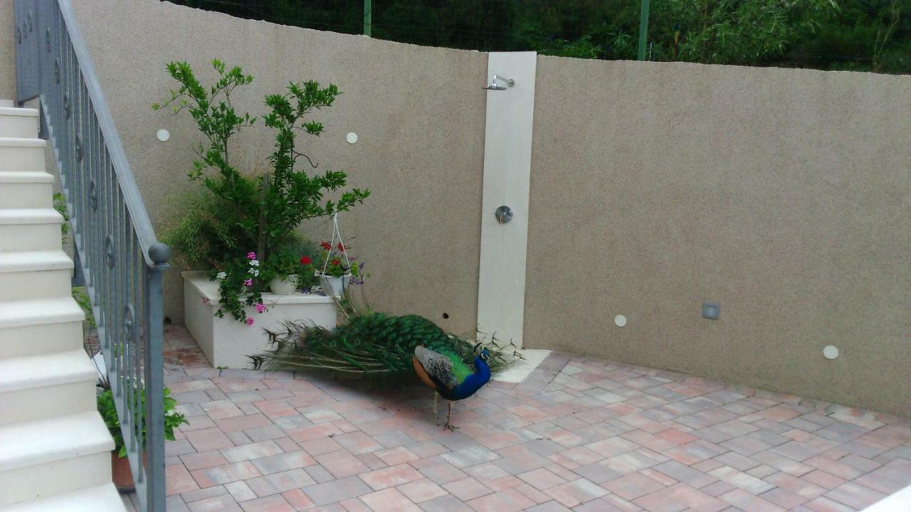 Anka Strman Apartment Makarska Exterior photo